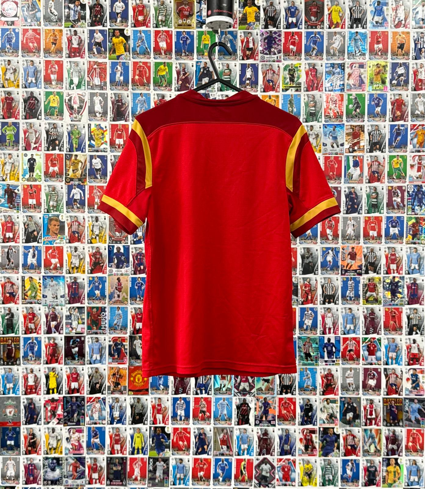 Wales Rugby 2013 - Home Jersey - Age 11-13