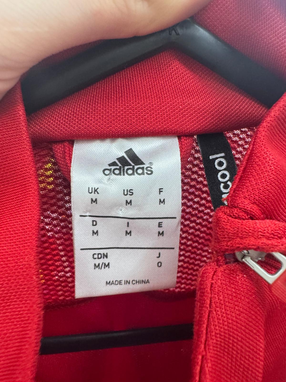 Wales 2016 - L/S Training Jumper - M