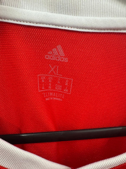 Wales 2018 - Home Shirt - XL