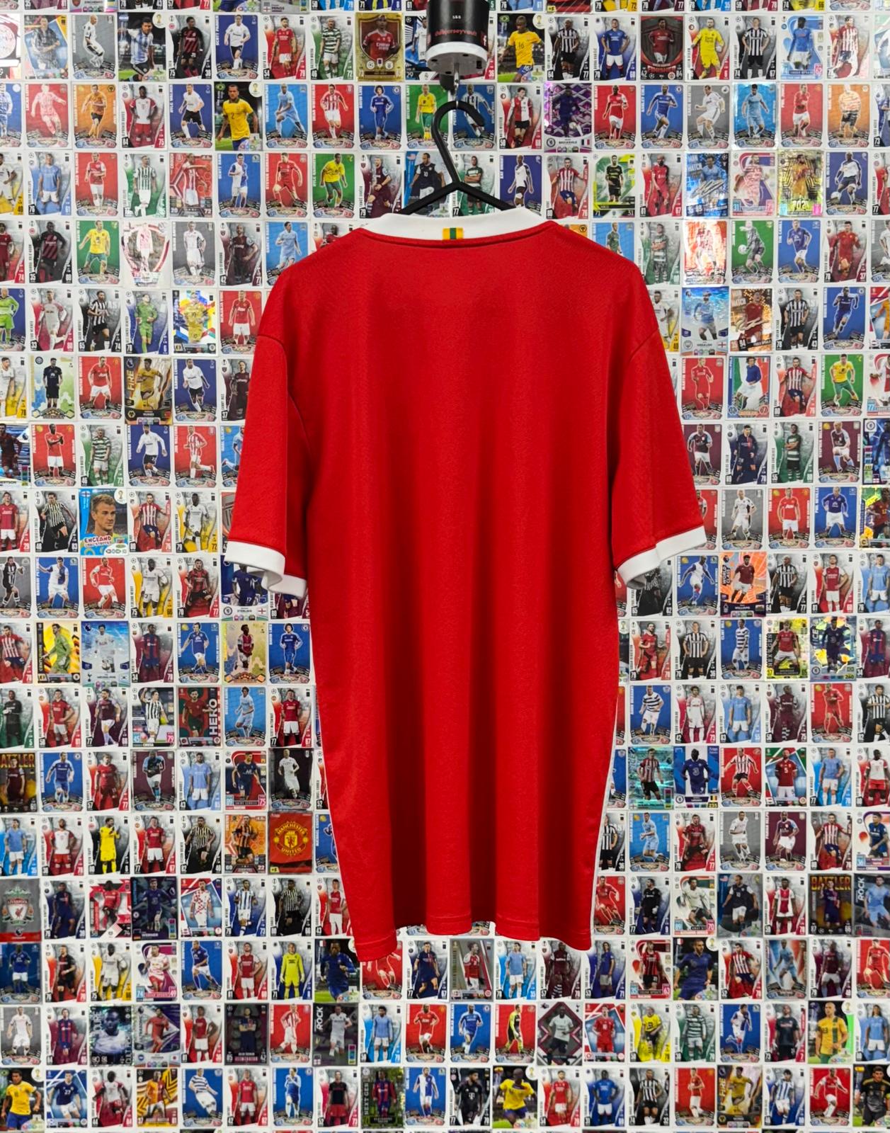 Wales 2018 - Home Shirt - XL